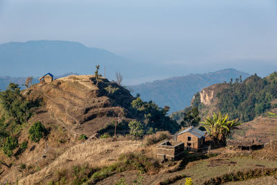 Scenic view of trees and houses against sky