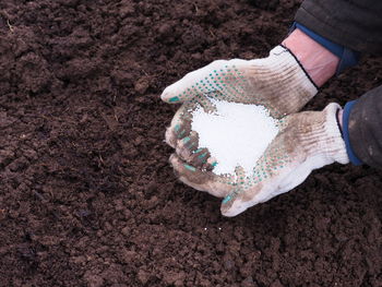 soil