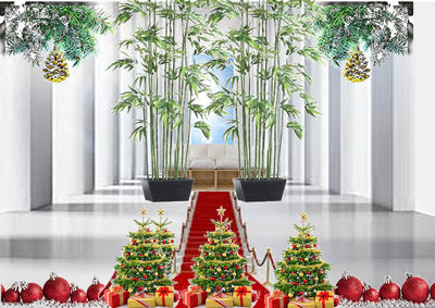 Potted plants against building