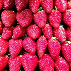 Full frame shot of strawberries