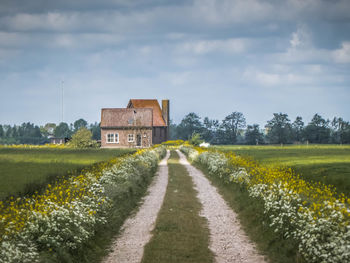 Road amidst field and houses against sky