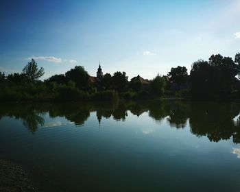 Reflection of trees in calm lake