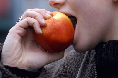 Close-up of boy holding apple