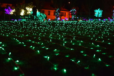 Illuminated christmas lights at night