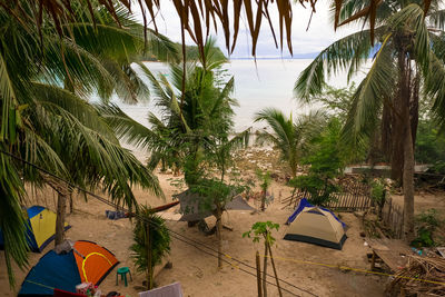 Palm trees on beach against sky