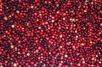 Full frame shot of cranberries