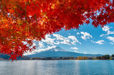 Scenic view of lake by trees against sky during autumn