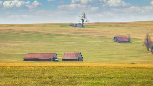 Scenic view of agricultural field
