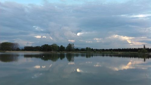 Reflection of trees in calm lake