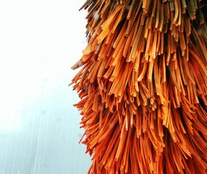 Close-up of orange mop
