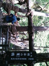 Man standing by tree in forest