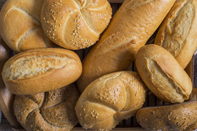 Close-up of wheat