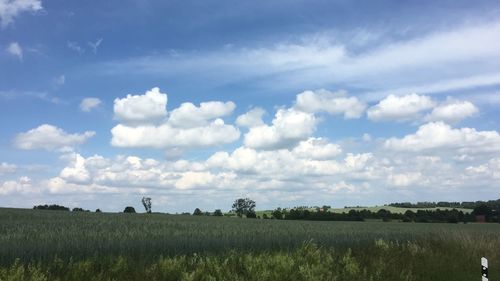 Scenic view of field against sky