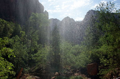 Scenic view of waterfall in forest