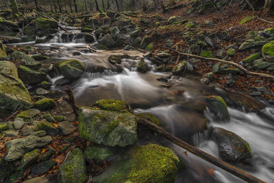 Water flowing through rocks in forest