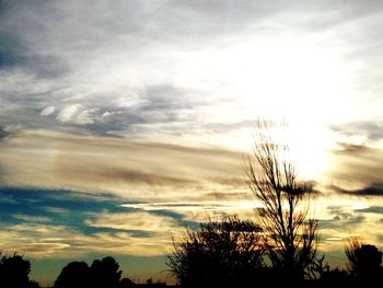 Low angle view of silhouette trees against sky at sunset