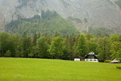 Houses by trees on grassy field against mountain