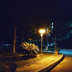 Illuminated trees against sky at night