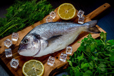 High angle view of fish by ice cubes and lemon on cutting board