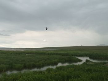 Scenic view of field against sky