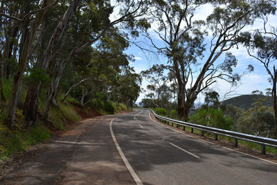 Empty road along trees