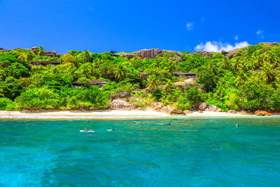 Scenic view of beach