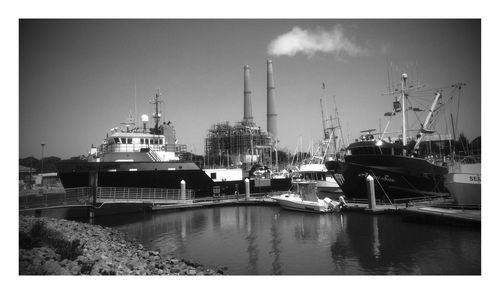 Sailboats moored at harbor against sky