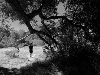 Rear view of man standing by tree against sky