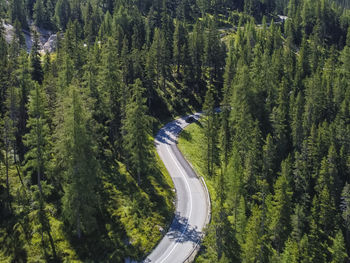 Mountain road in the italian alps