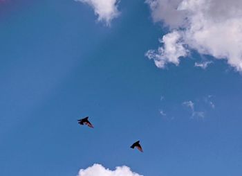 Low angle view of birds flying in sky