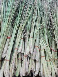 High angle view of spring onions for sale