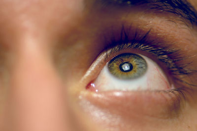 Close-up portrait of human eye