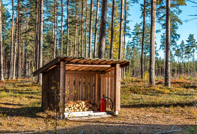 Firewood and fire extinguisher in the middle of the forest in sweden in summer