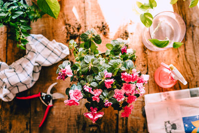 High angle view of potted plant on table