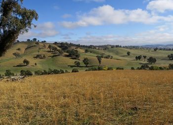 Scenic view of landscape against sky