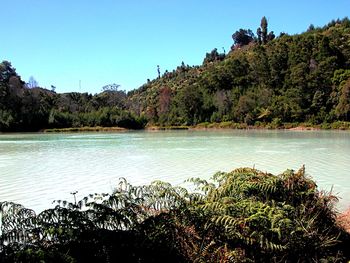 Scenic view of lake against clear sky