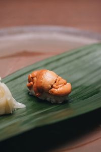 Close-up of sushi in leaf