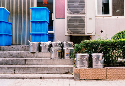 Potted plant on wall of building