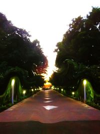 View of illuminated street lights