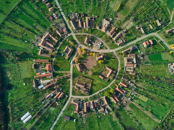 Aerial drone view over the round village of charlottenburg, timis, romania