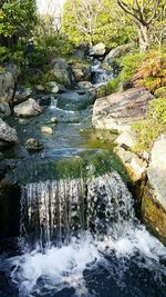 View of waterfall in forest