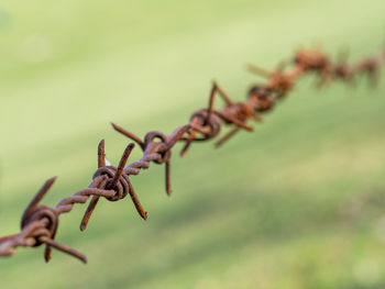 Close-up of rusty barbed wire over field