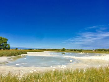 Scenic view of beach against blue sky