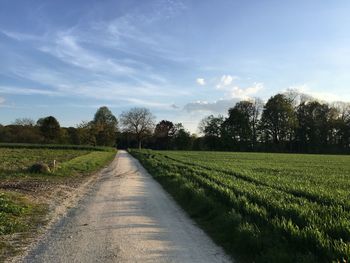 Road passing through field