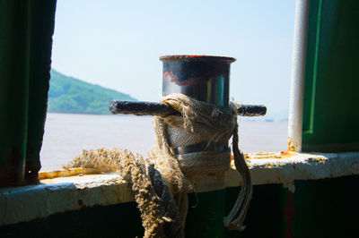 Close-up of horse in sea against sky