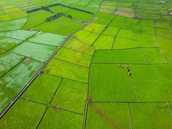 Full frame shot of footpath