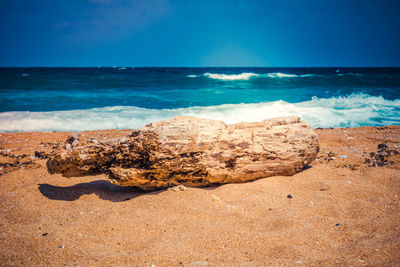 Scenic view of beach against blue sky