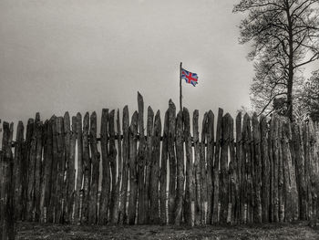 View of trees against sky