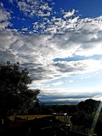 Trees against sky