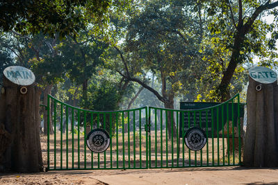 View of metal gate and trees in park